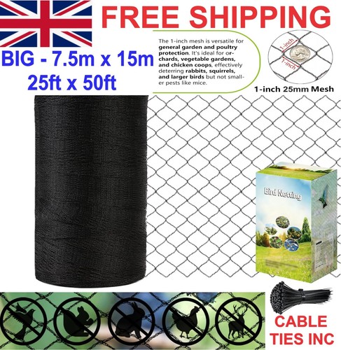 Garden bird pond poultry - bird,