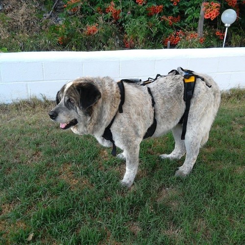 Help emup full body - help’emup,
