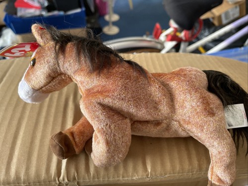 Beanie baby oats the - ty,