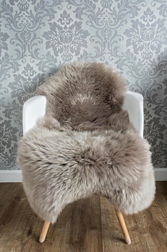 Beautiful oyster natural - beautiful,