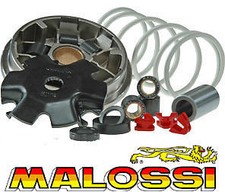Honda Zoomer Ruckus 50 4T LC Dio Clean 4 You MALOSSI Multivar Variator 5111852