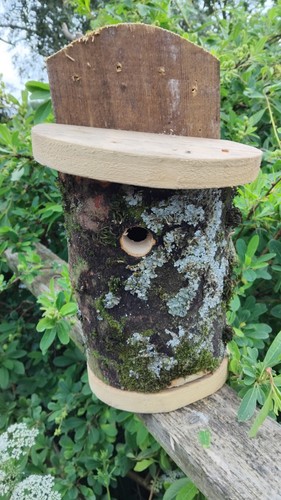Nest box carved log - carved,