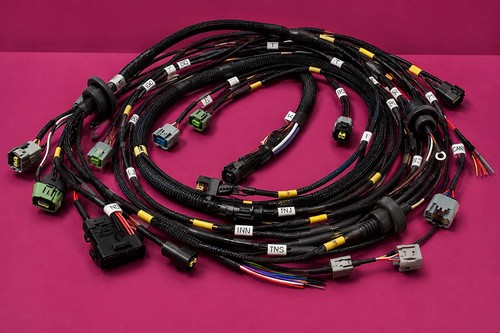 Custom ecu wiring harness - ecu,