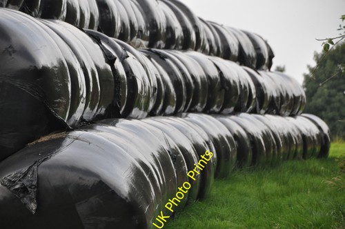 Photo west somerset - somerset,