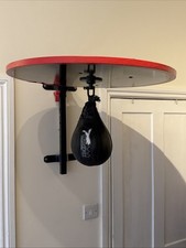 Adjustable Wall-Mounted Speed