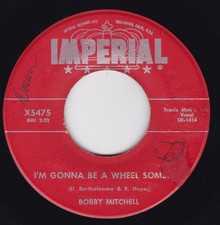 Rock & Roll / R&B--Bobby