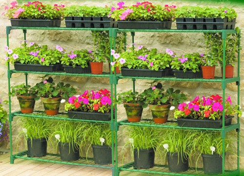 New double pack - new, plants
