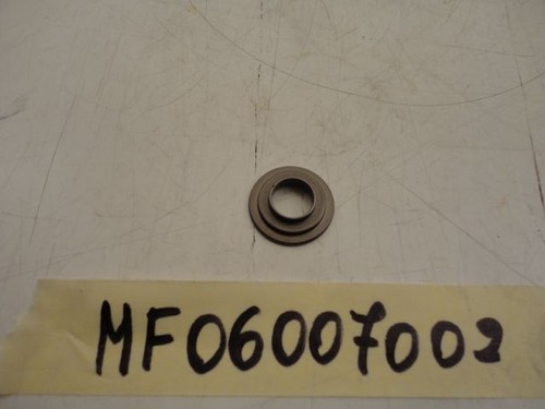 Engine valve spring - valve,