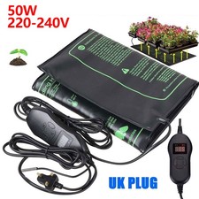 Garden Greenhouse Plant