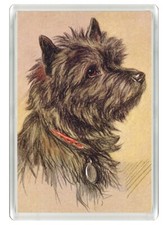 CAIRN TERRIER BEAUTIFUL DOG ART PRINT NOVELTY FRIDGE MAGNET   GREAT GIFT