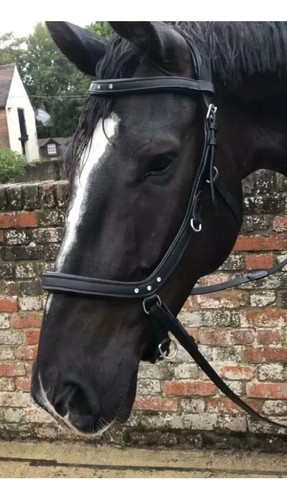 Bitless multi bridle snaffle - &,