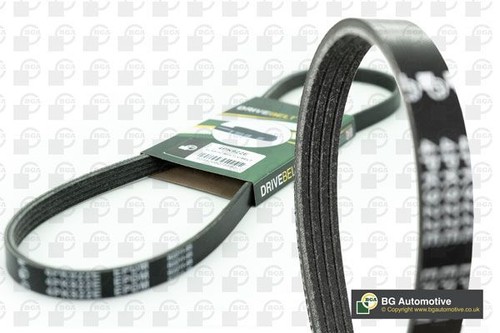 Ribbed belt fits - fits, renault