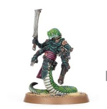 Warhammer 40k Drukhari Dark