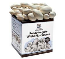 Merryhill Mushrooms - Grow