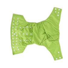 Toddler Training Pants Strong