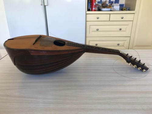 Mandolin musical - in,