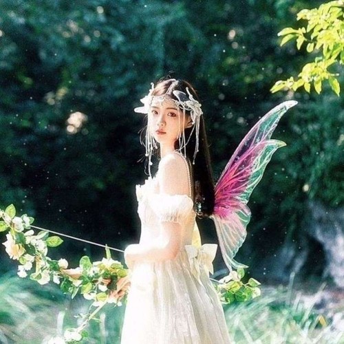 Large net fairy wings - net,