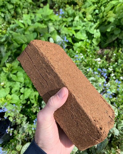 Coco coir compost brick - coco,