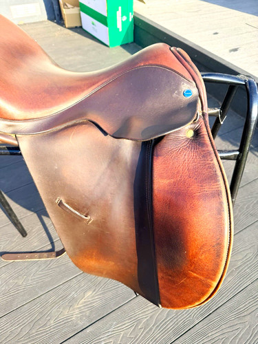 Batchelor english horse - batchelor,