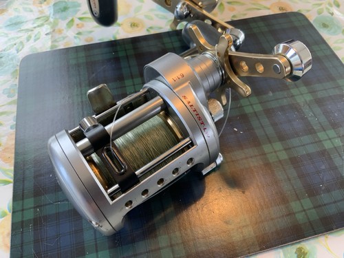 Daiwa fishing saltist reels - daiwa,