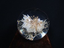 Lovely  Vintage 1995 Hafod