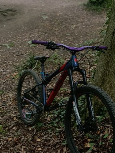 Saracen mountain bike 17in - mountain,