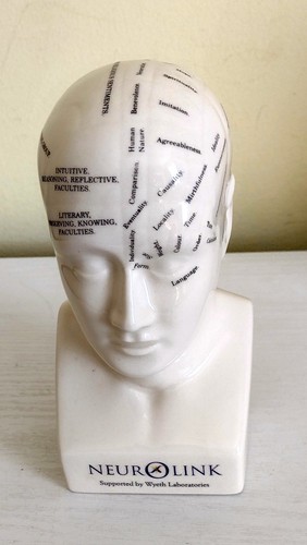 Ceramic phrenology head - phrenology,