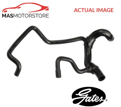 Radiator hose lower gates - hose,