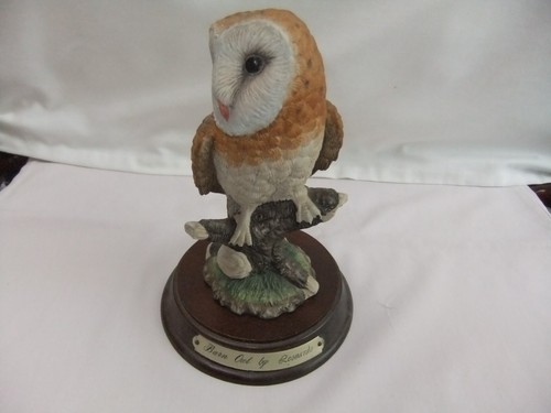 Barn owl tree trunk the - a,