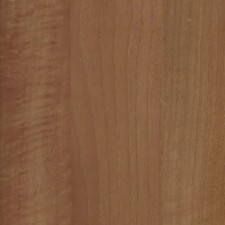 Caravan Wallboard Amati Walnut