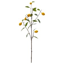  1PC Branches de citron simulées Décor Imitation Branches simples Décor Plantes