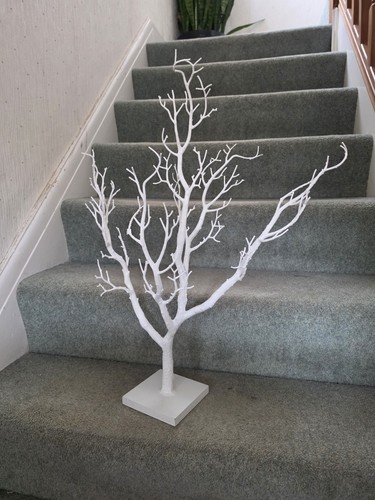 Lovely white twig - twig, to
