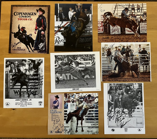 Cowboy rodeo bull rider auto - rider,