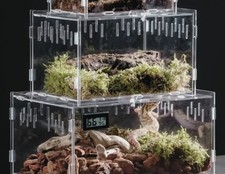 Acrylic Reptile Terrarium Box for Tarantula Scorpion Spider Bearded Dragon 25x15