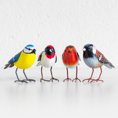 Small 11cm bird - bird, colour