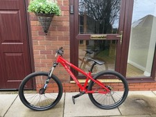 Santa Cruz Jackal  Mountain