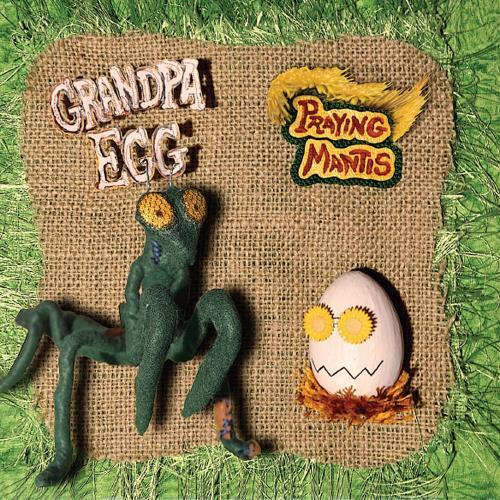 Grandpa egg praying mantis - praying,