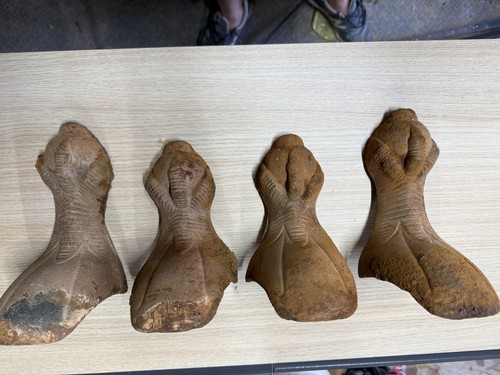 Set antique cast - antique,