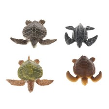 Sea Animals -  Underwater