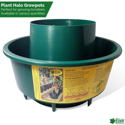 Plant halo grow pots - plant, tomato