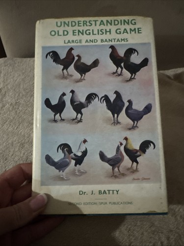 Understanding old english - understanding,