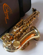 Saxophone Soprano Curved in Bb ~ Gold Lacquer in Odyssey Case Full Chase Outfit