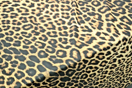 Animal print spandex - animal,