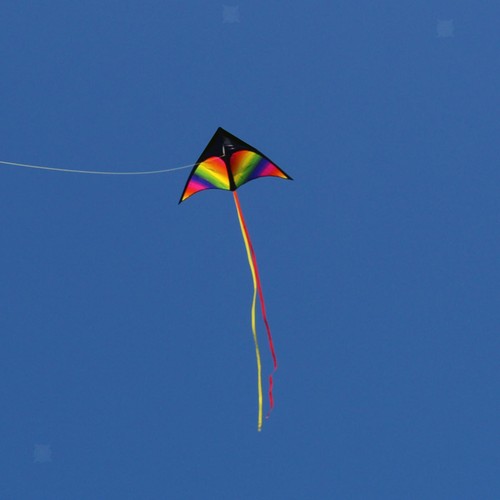 Giant delta kite fly - giant, easy