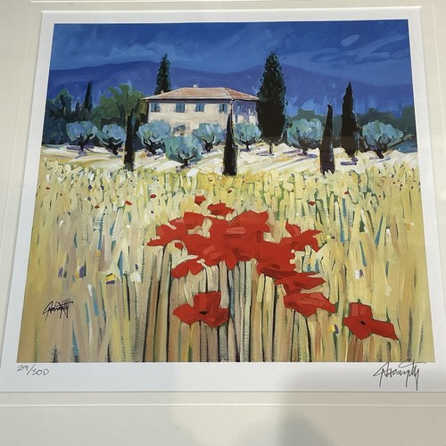 Scott naismith limited edition - scott,