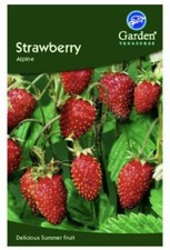 Garden Treasures Fresh Herbs