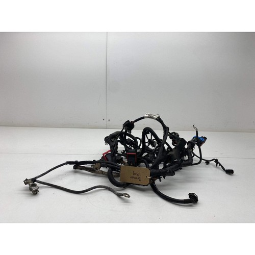 Ford focus engine - ford,