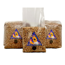 WHOLESALE MUSHROOM SPAWN | Organic Rye Grain Bags (Hydrated & Sterilised)