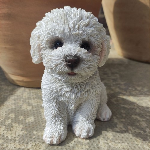 Vivid arts bichon frise - arts, puppy