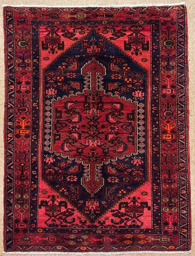 Hand knotted wool area rug - knotted, 5x7